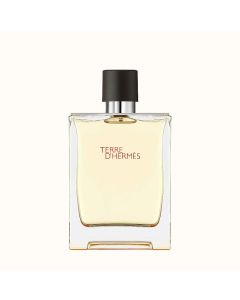 Hermès Terre D´HERMESEau de Toilette 100 ml Vaporizador